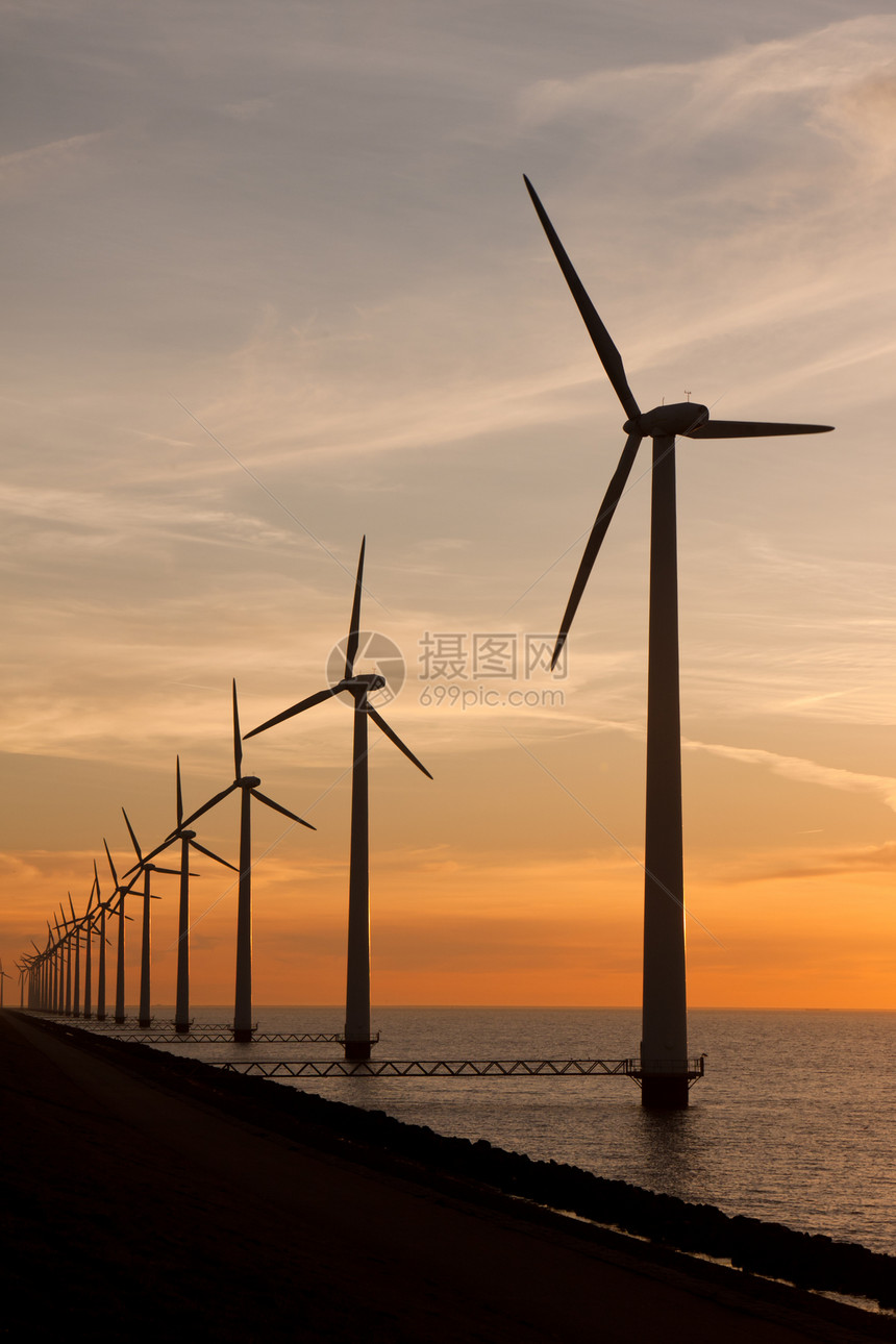 海中长排的挡风涡轮鱼图片