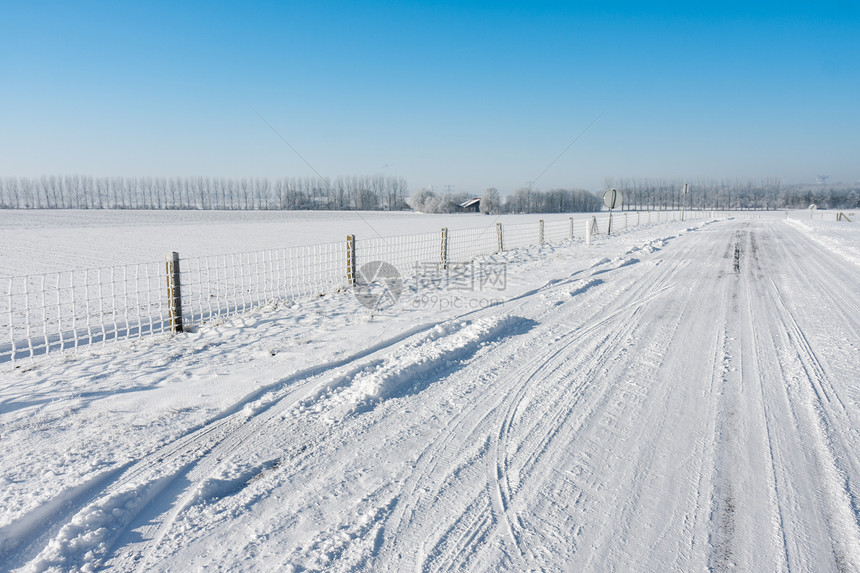 荷兰冬季农田景观和乡村公路图片