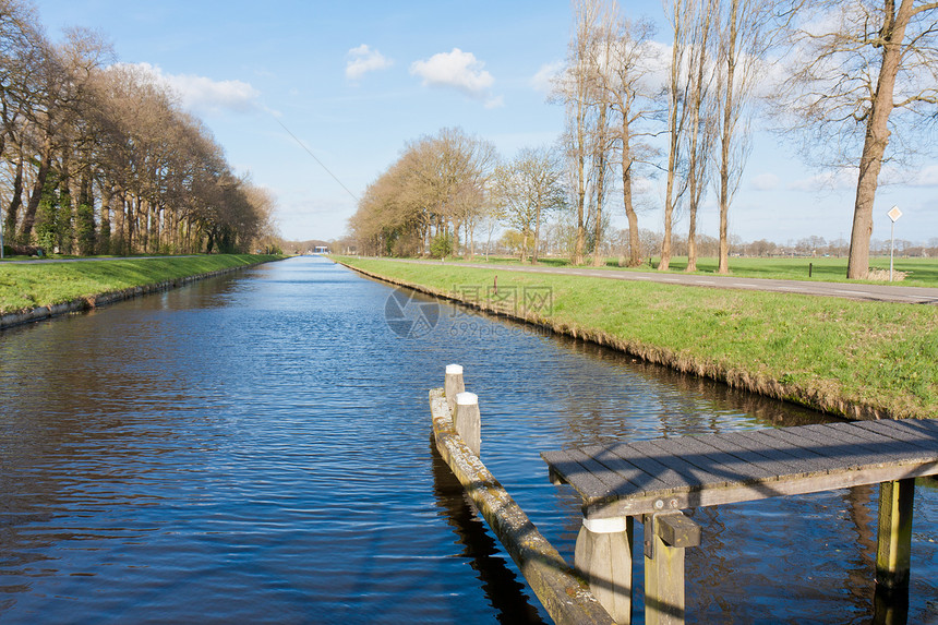荷兰有牧场和运河的荷兰风景图片