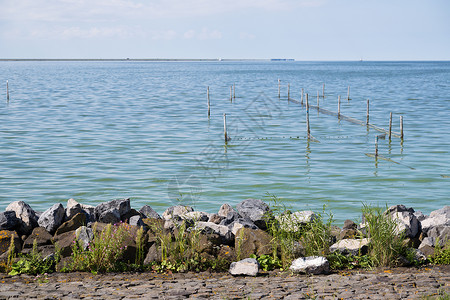 荷兰离海岸附近带渔网的荷兰断水图片