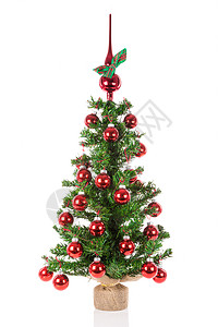 装饰圣诞树红峰球在白色背景上背景图片