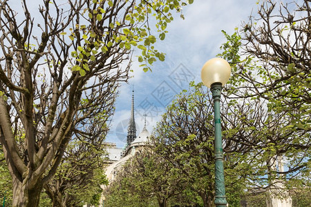 春季圣母教堂法国巴黎图片