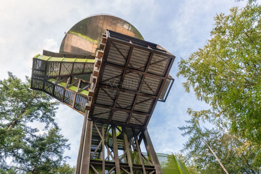 荷兰公园Veluwe森林Putten村附近有望塔图片