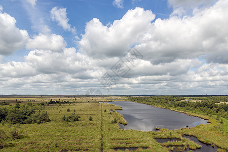 荷兰公园有卫生湿地和美丽的云天图片