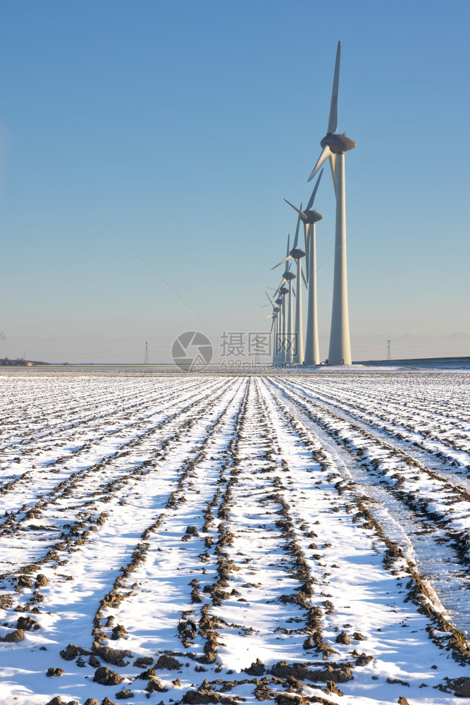 荷兰农村景观风力涡轮机和冬季积雪田图片