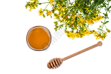 药用植物的糖浆和蜂蜜工作室照片图片