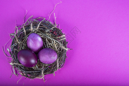 紫色背景的复活节鸡蛋窝背景图片