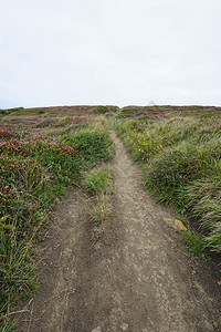 自然质中的路径背景图片