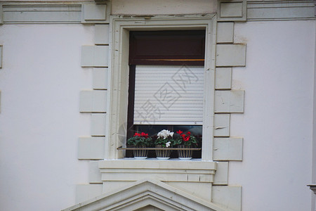 白色房子的百叶窗图片