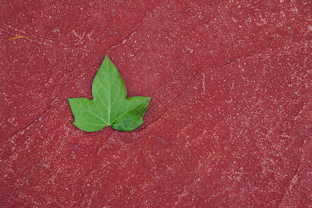 红色背景的绿树叶纹背景