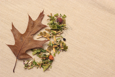 各种自然医学干草叶花瓣和水果秋叶橡树和的杂质秋概念干草和秋橡树图片