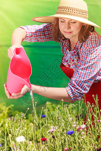 穿着帽子红围裙的有吸引力妇女在后院花园里工作在户外浇花背景图片