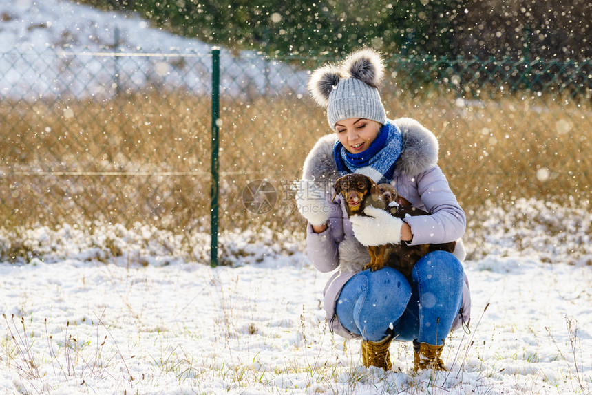 女婴在冬天玩得开心女婴在雪下时与两只小纯种狗玩耍女婴在冬天与狗玩耍图片