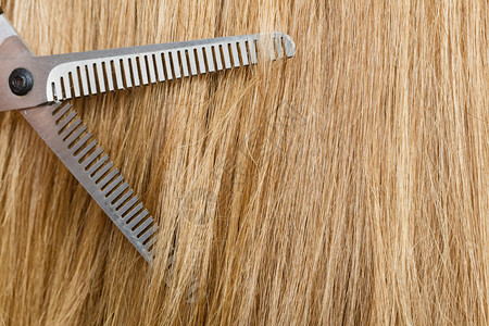 剪裁和理发店关闭精密设备黑色特别剪刀直金发长的毛剪特别毛图片