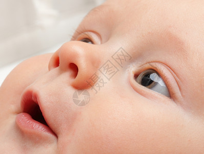 6个月的蓝眼睛男婴小孩肖像图片