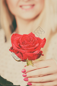 出彩美甲节礼物和爱情符号日期和人节握着红色一朵玫瑰花的柔情女手送礼物给女感情迹象10张蓝色的彩背景拿着红玫瑰花的女手红玫瑰花背景