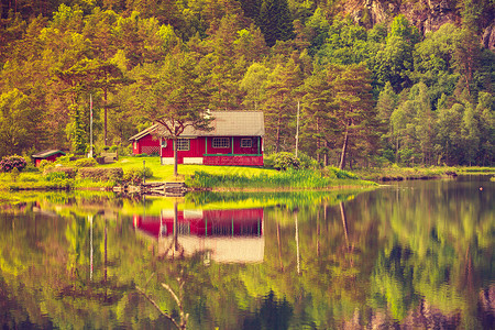 挪威斯堪的纳维亚挪威美丽的景观挪威湖岸森林的木屋图片