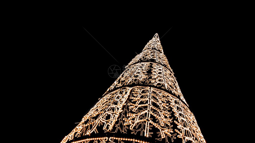 装饰圣诞树和深夜背景灯泡的数字图片