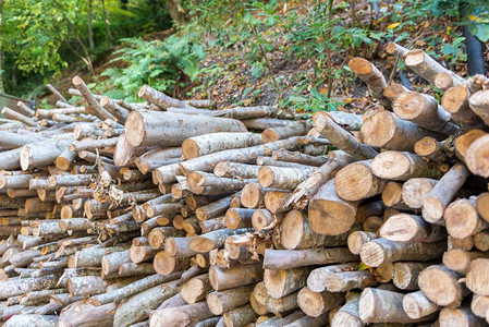 一堆准备过冬的原木一堆劈柴一堆准备过冬的原木图片