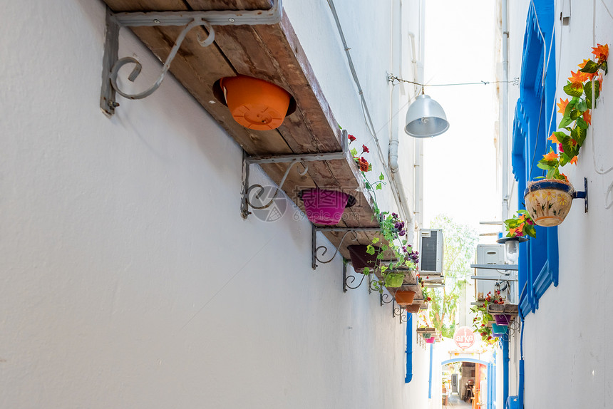 位于博德鲁姆狭窄街道的花盆和希腊风格的白房子图片
