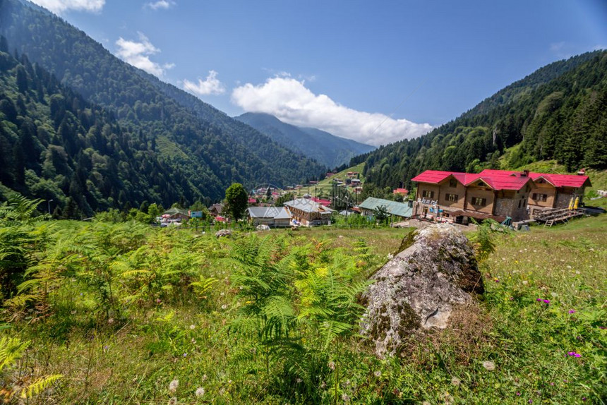 土耳其Rize的Ayder高原景观Ayder谷是夏季旅游的热门目地图片