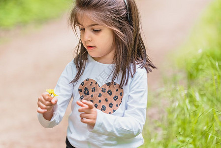 巴松错的小野花四岁可爱的小女孩在阳光明媚的白天在草地摘野花背景