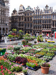 比利时布鲁塞尔格兰德广场图片