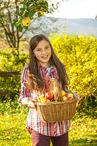在花园里摘苹果的年轻少女背景图片