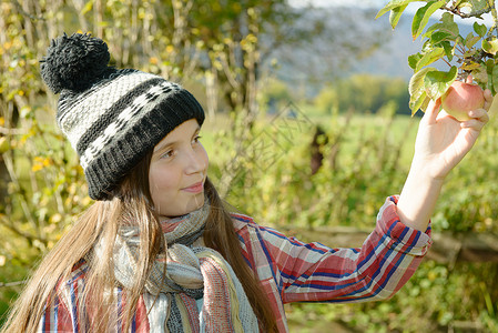 在花园里摘苹果的少女背景图片