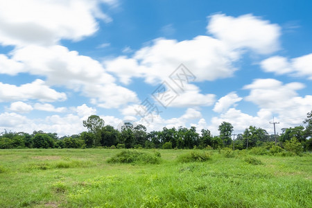 美丽的天空风景和绿色的乡村风景图片