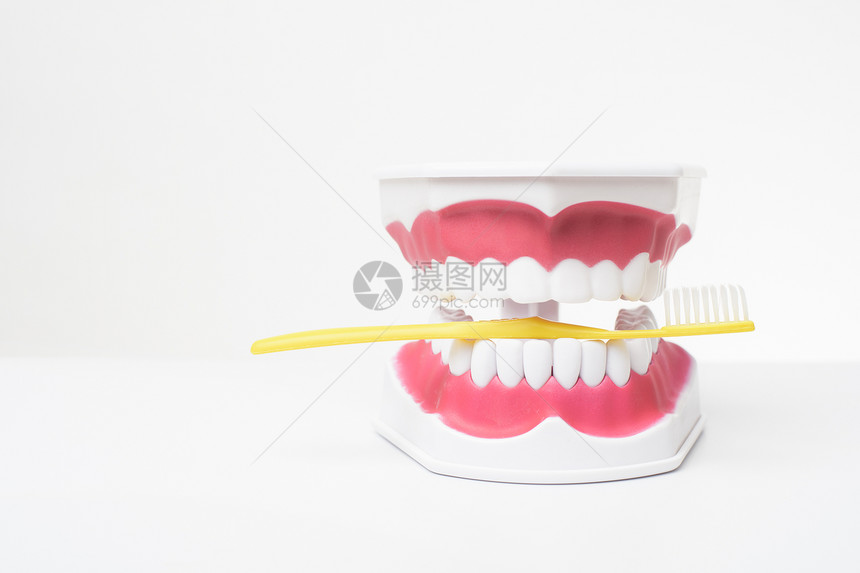 白色背景下人工造型假牙护理示范图片