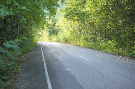 natureroadsidelanealongcountryroadscenicalleycurvedroadfieldcurveroads背景