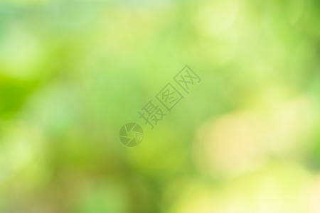 Bokeh圆圈与绿色自然光模糊背景图片