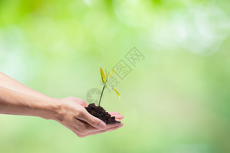 爱世界环境手在植树背景图片