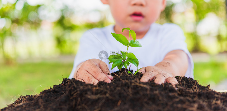 世界环境日与拯救世界概念亚洲可爱快乐的小男孩之手在绿花园背景的黑土上种植小树图片