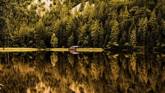 奥地利农村夏季蓝湖边绿色松林的木屋景象背景图片