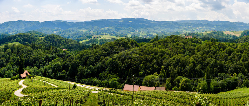 奥地利著名的红心制酒之路夏季在斯洛文尼亚红心形式HerzellStrasse夏季葡萄园Spisnik旅游点奥地利著名的红心制酒道图片