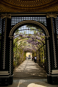 维也纳圣春宫皇的帝花园著名的旅游目地维也纳圣春宫的皇帝花园图片