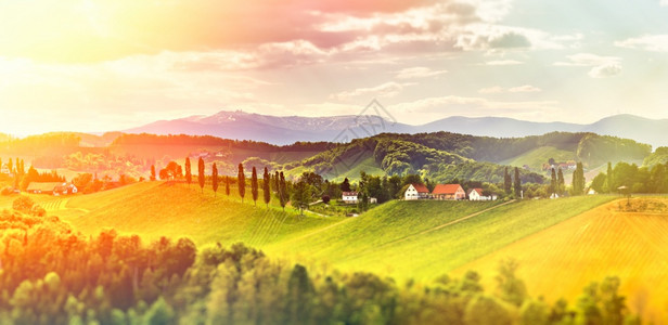 葡萄酒国Styria以南的VineyardsSulztal地区的全景著名旅游目地阳光景色Vivid图像编辑版奥地利Vineyar背景