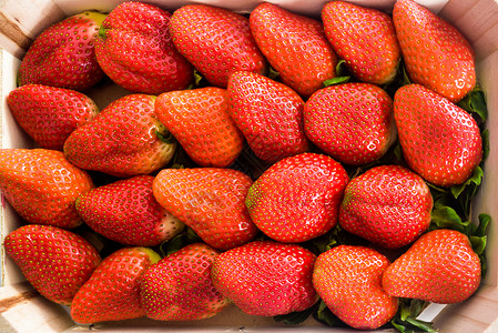 A草莓背景图片
