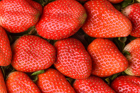 新鲜草莓的背景草莓图片