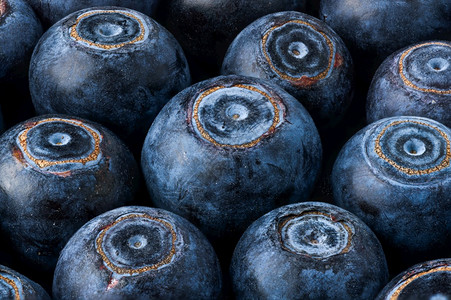 Blueberry的大型封闭黑背景的大型关闭黑背景背景图片