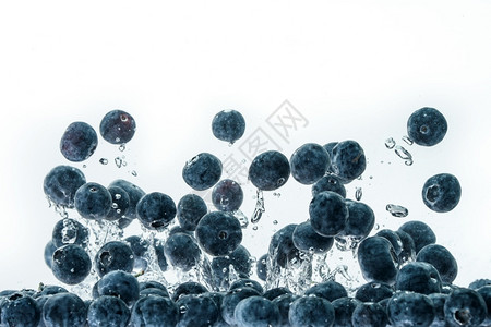 蓝莓沉入水中空气泡为白色背景蓝莓沉入白色背景的水中背景图片