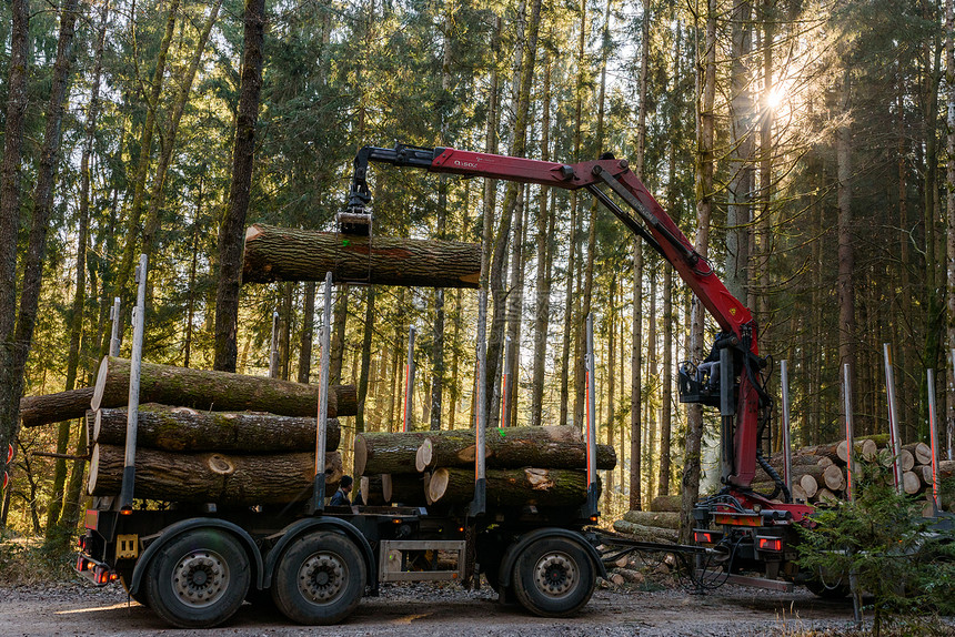 奥地利Kaiserwald公司20年1月日卡车中森林装货原木的Crane公司森林中的木材采伐和运输森林木业和的运输卡车中森林装货图片