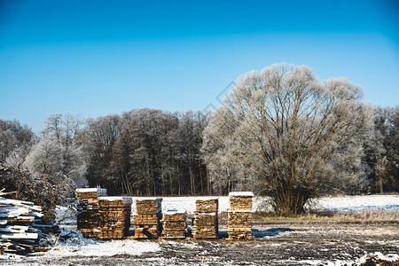 木材工业砍伐森林的木板欧洲图片