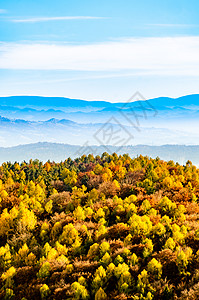 秋天风景地表的多彩林木和背景的蓝山背景图片