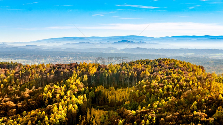 秋天风景地表的多彩林木和背景的蓝山图片