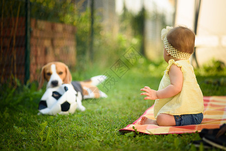 年轻女婴在户外养小狗家庭宠物概念动物高清图片素材