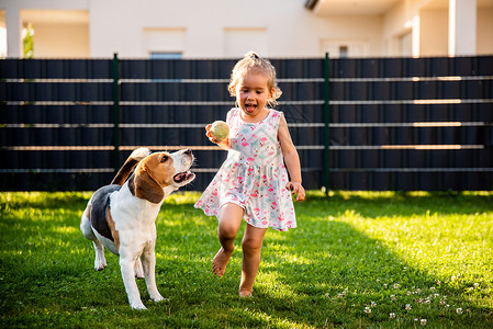 与小狗一起玩耍的小女孩草坪高清图片素材