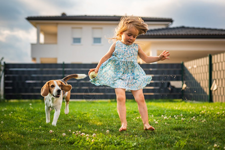 与小狗一起玩耍的小女孩夏天高清图片素材